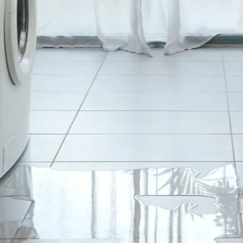 Appliance Leak Cleanup in Evans, GA