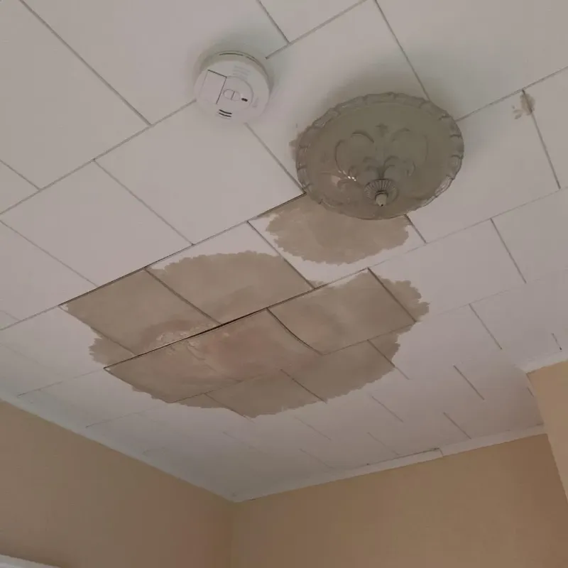 Ceiling Water Damage Repair in Evans, GA