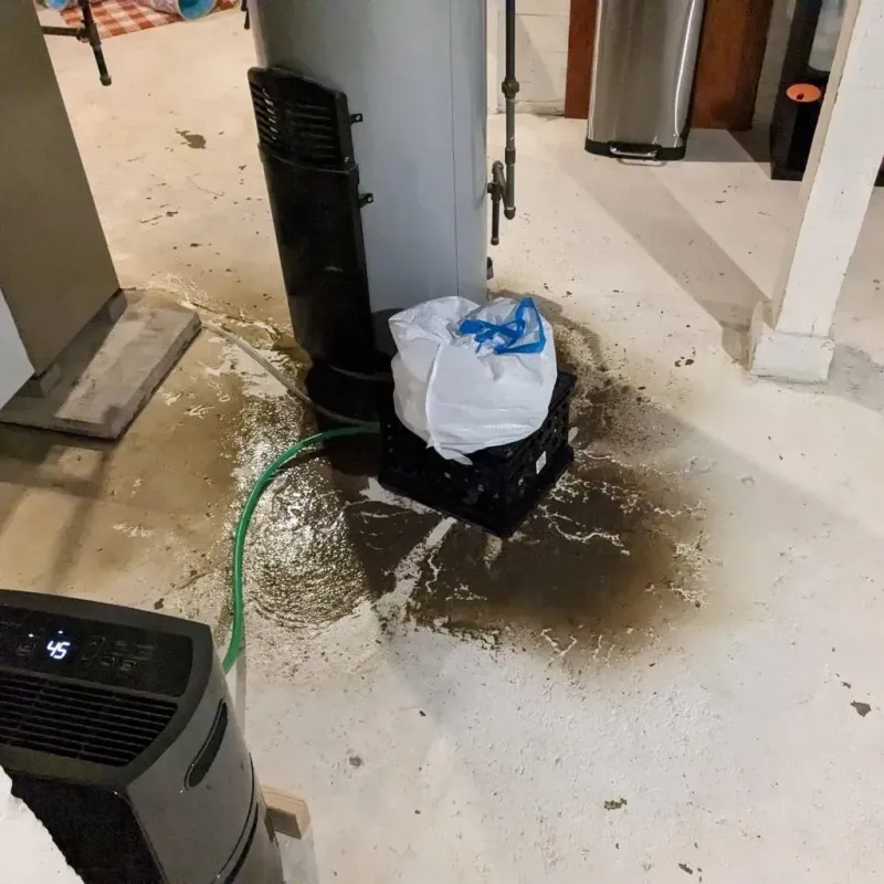 Sewage Backup Cleanup Service in Evans, GA